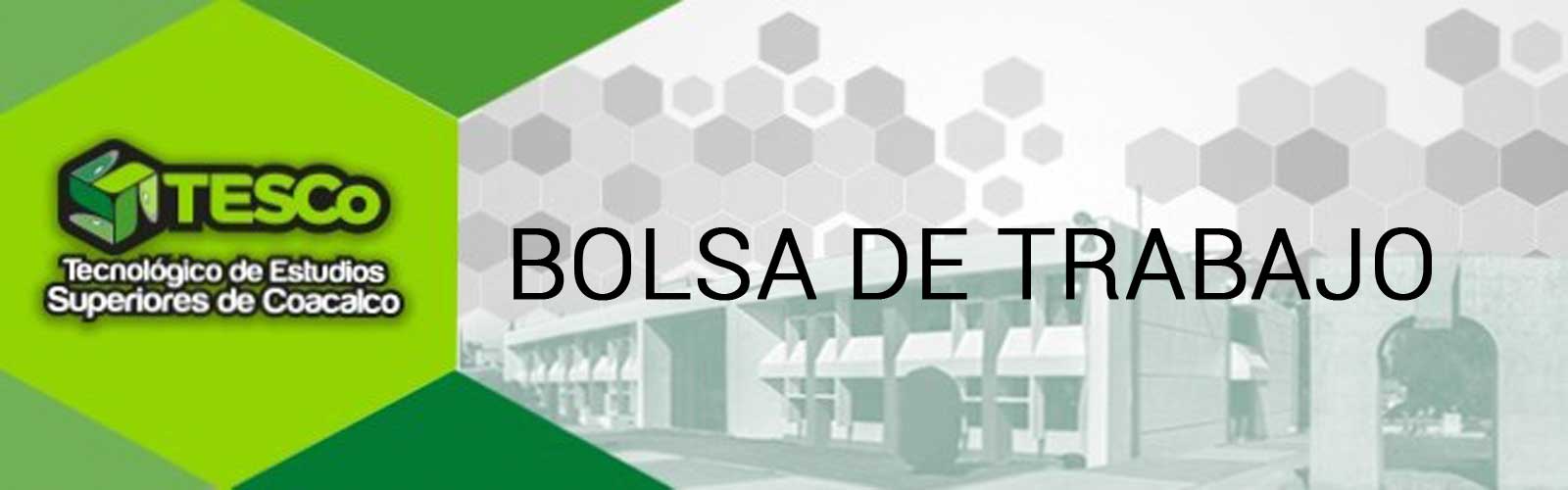 bolsa